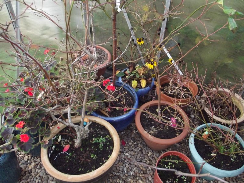 Quick tip - repurpose Cascade container for water container and brush  holder. 