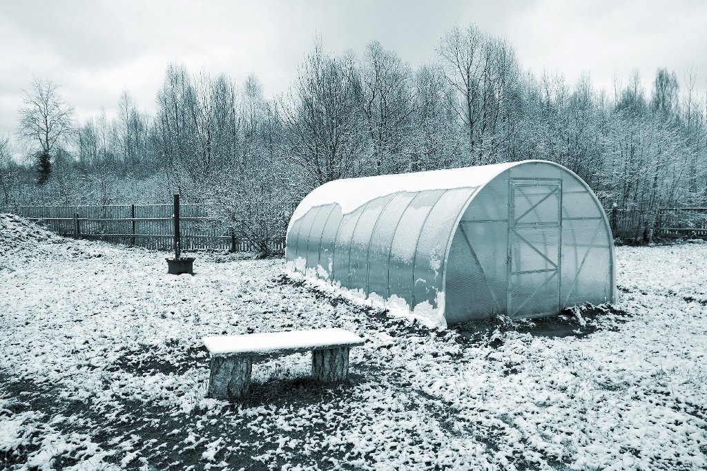 Taming.io Winter Project by Ajar Gauge