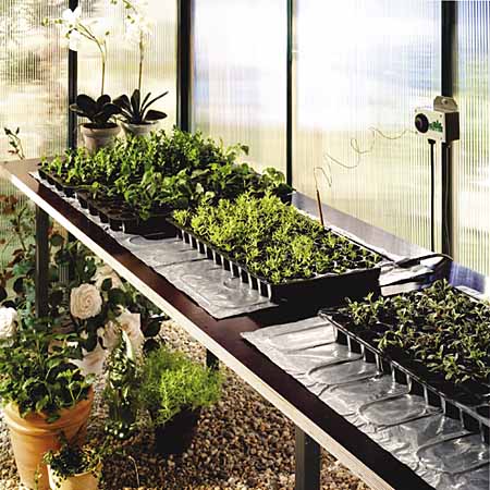 Heat Mats: Are They Really Necessary for Sowing Seeds? - Laidback Gardener