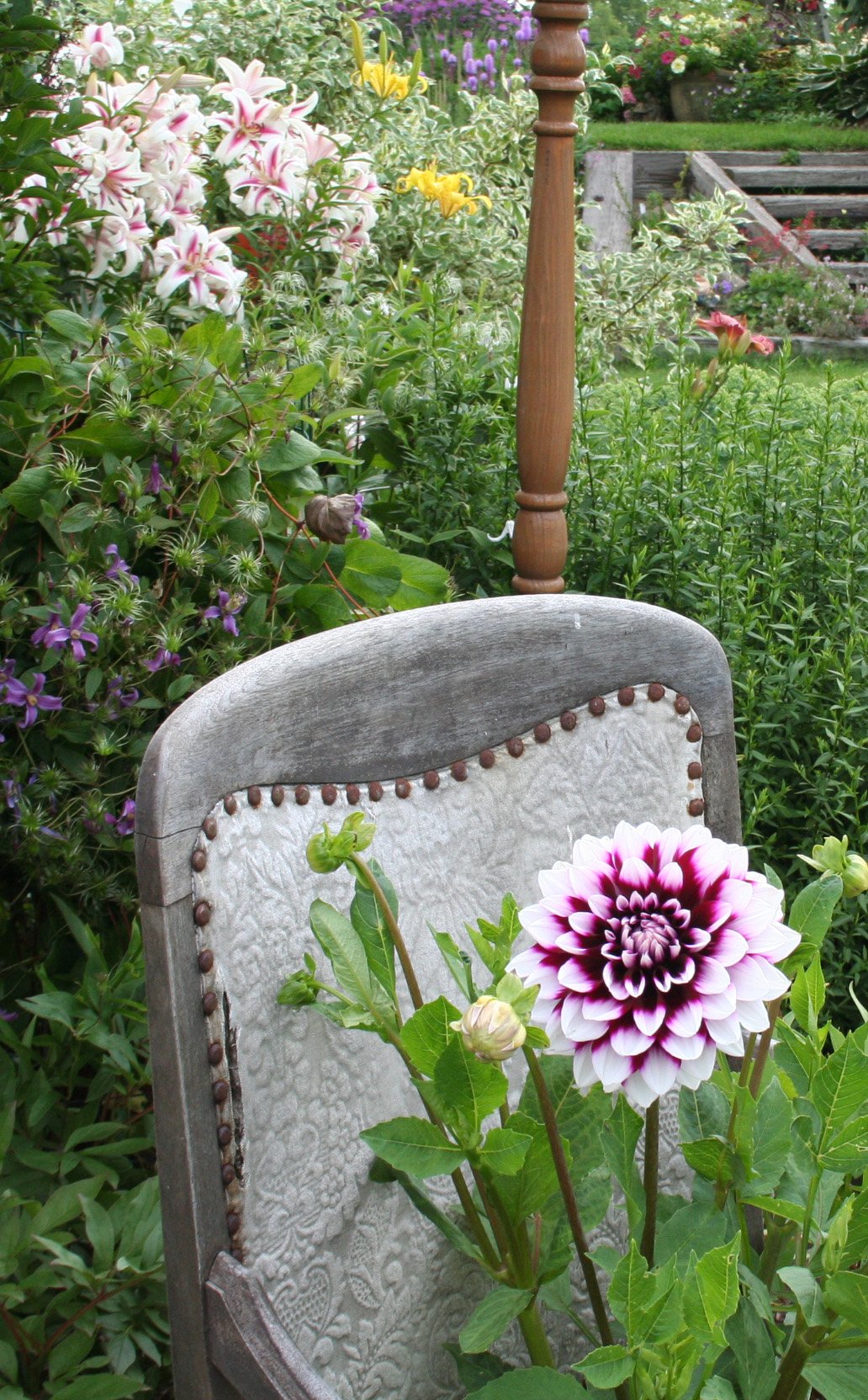 https://www.gardenandgreenhouse.net/wp-content/uploads/2010/12/croppedchair.jpg