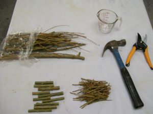 Willow Water 001