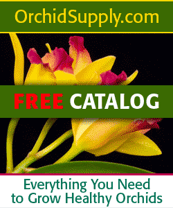 Orchid Supplies