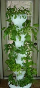 Foody Vertical Garden