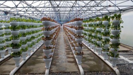 Foody Garden Tower