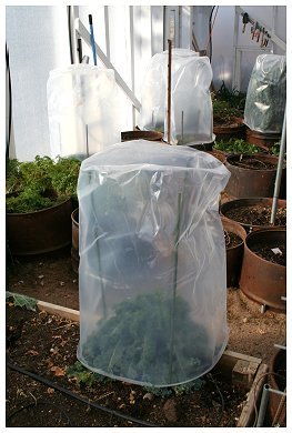 Are your paper leaf bags rotting before the city picks them up? Temporarily  cover them with plastic bags to keep rain out. : r/lifehacks