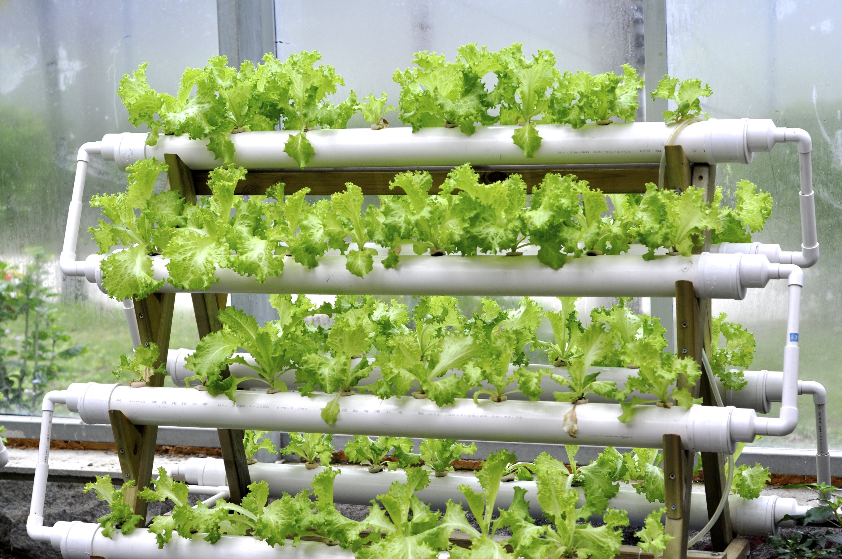  Hydroponic  Systems  in a Greenhouse Garden Greenhouse