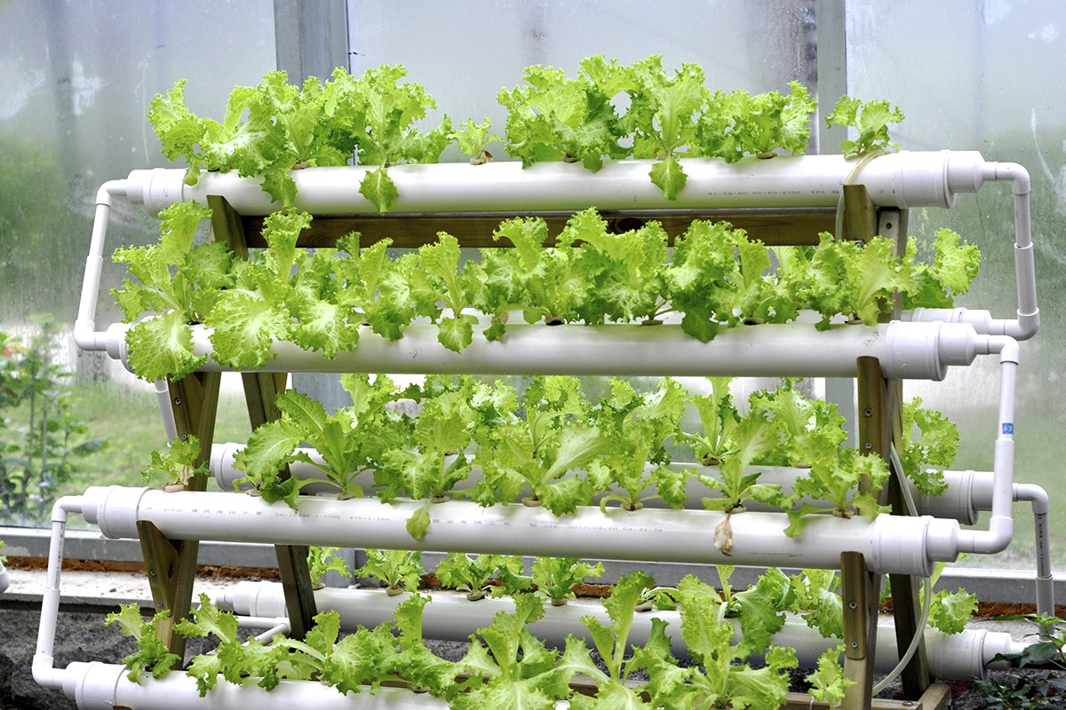 Hydroponic system Hydroponic system