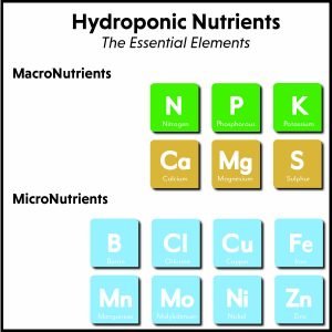 hydroponic-nutrients