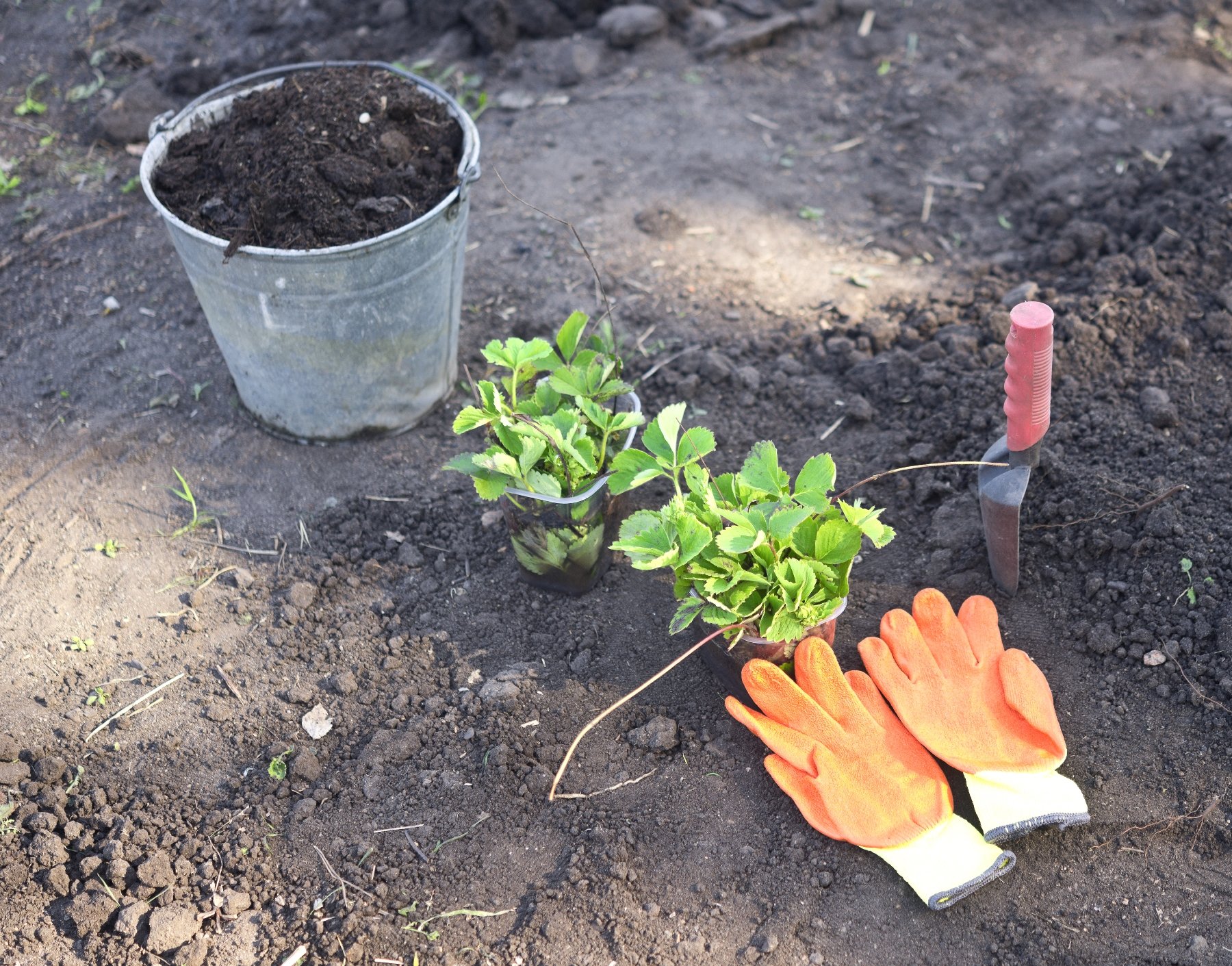 Envelor Coco Coir Brick Coconut Fiber for Plants Natural Garden Soil for Vegetables Potting Soil Block Coco Peat Coco Coir Bulk Coconut Husk Planting