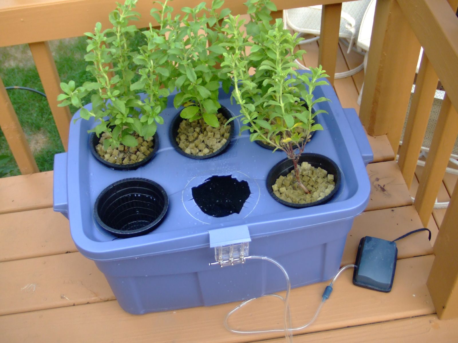 Do-It-Yourself Hydroponics - Garden & Greenhouse