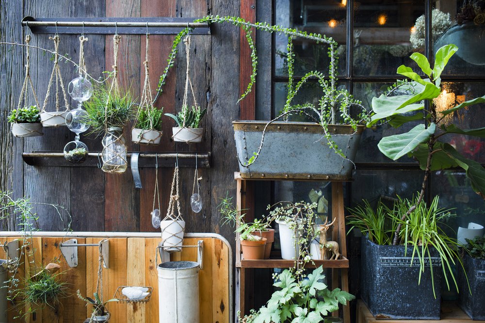 Mini humidifier beside pothos: good idea, bad idea, pointless? : r