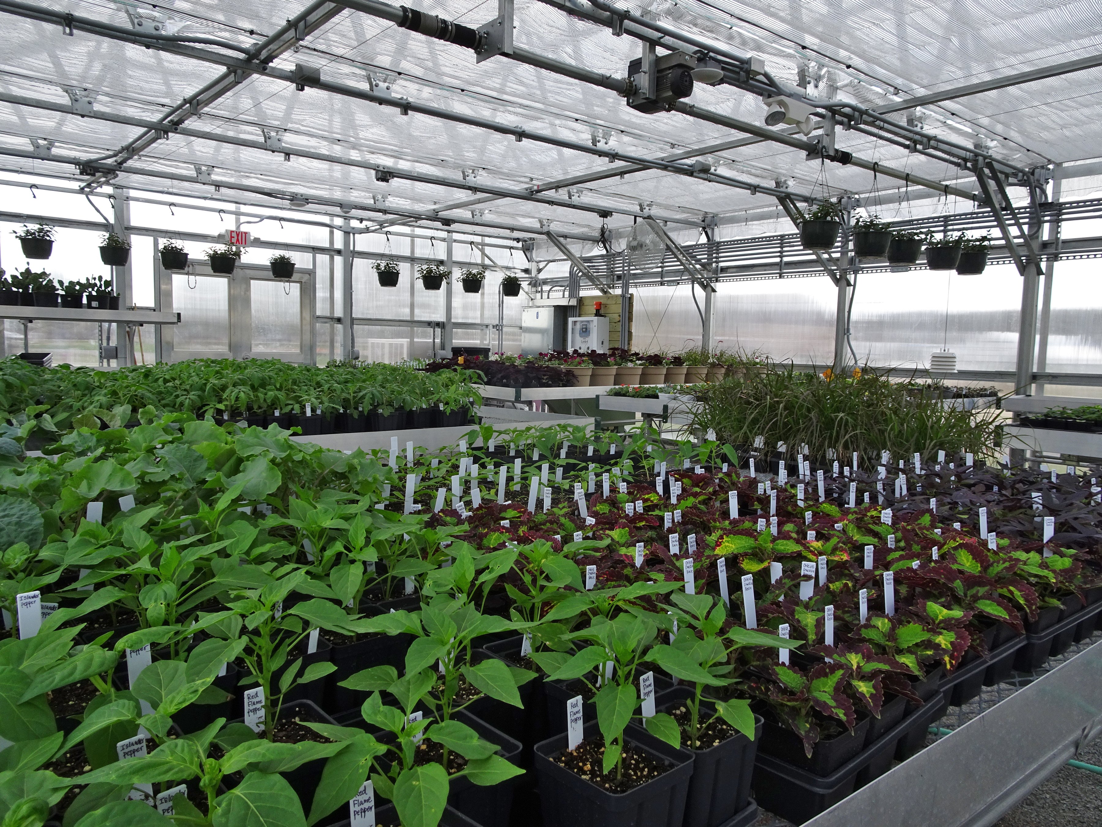 Addressing Humidity And Ventilation Concerns In Coastal Hydroponics