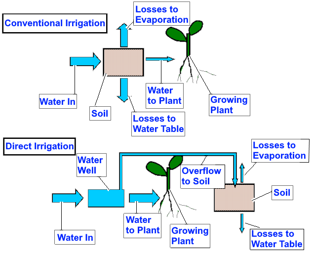 Nematodes Could Be the Reason Garden Is Unproductive - Alabama Cooperative  Extension System