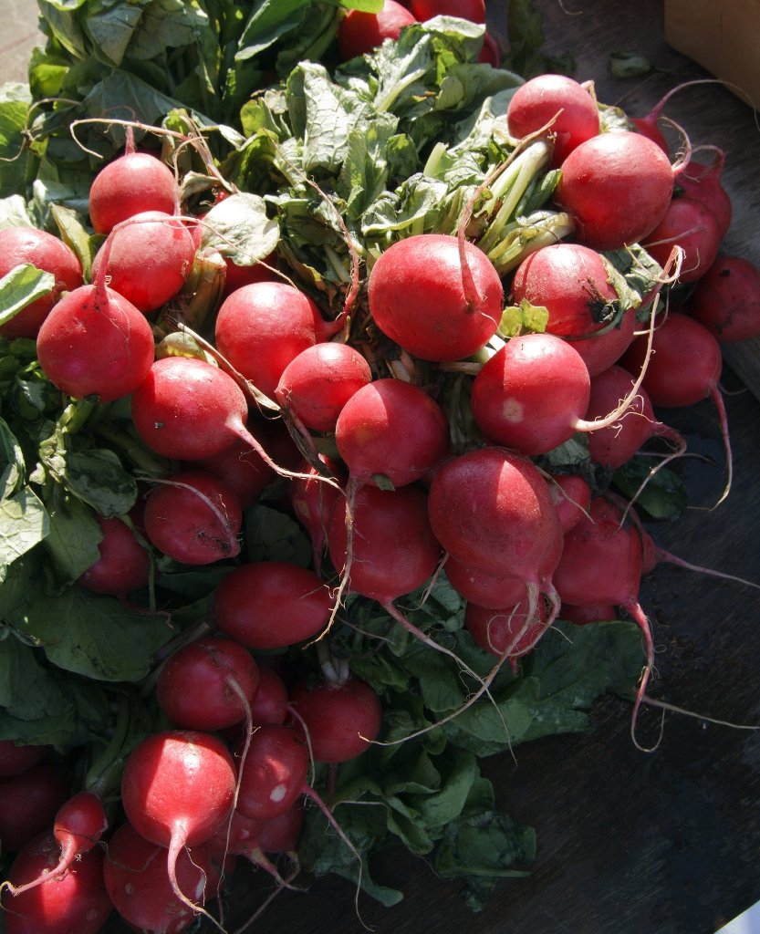 https://www.gardenandgreenhouse.net/wp-content/uploads/2018/06/Radish-1-Low-Rez.jpg