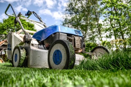 6 Expert Tips to Find the Right Lawn Mower - Garden & Greenhouse