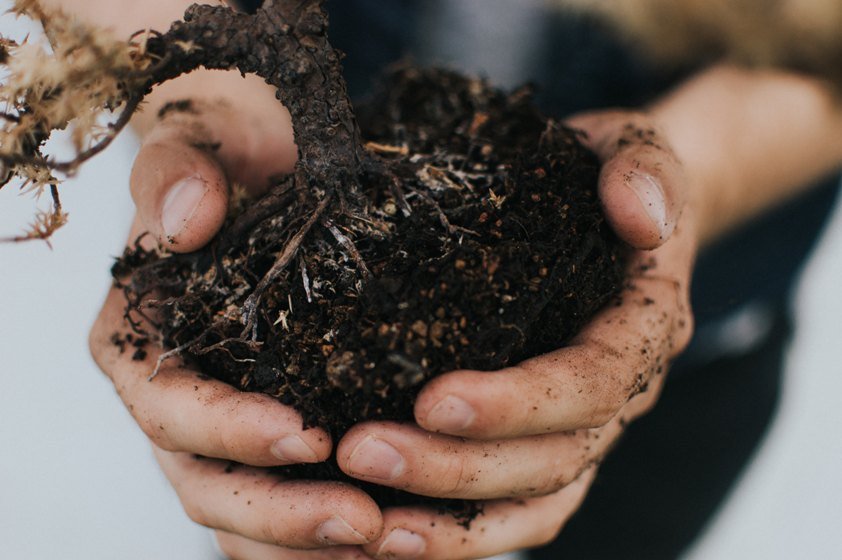 Can Noxious Odours Effectively Protect Clutches of Ground-Nesting