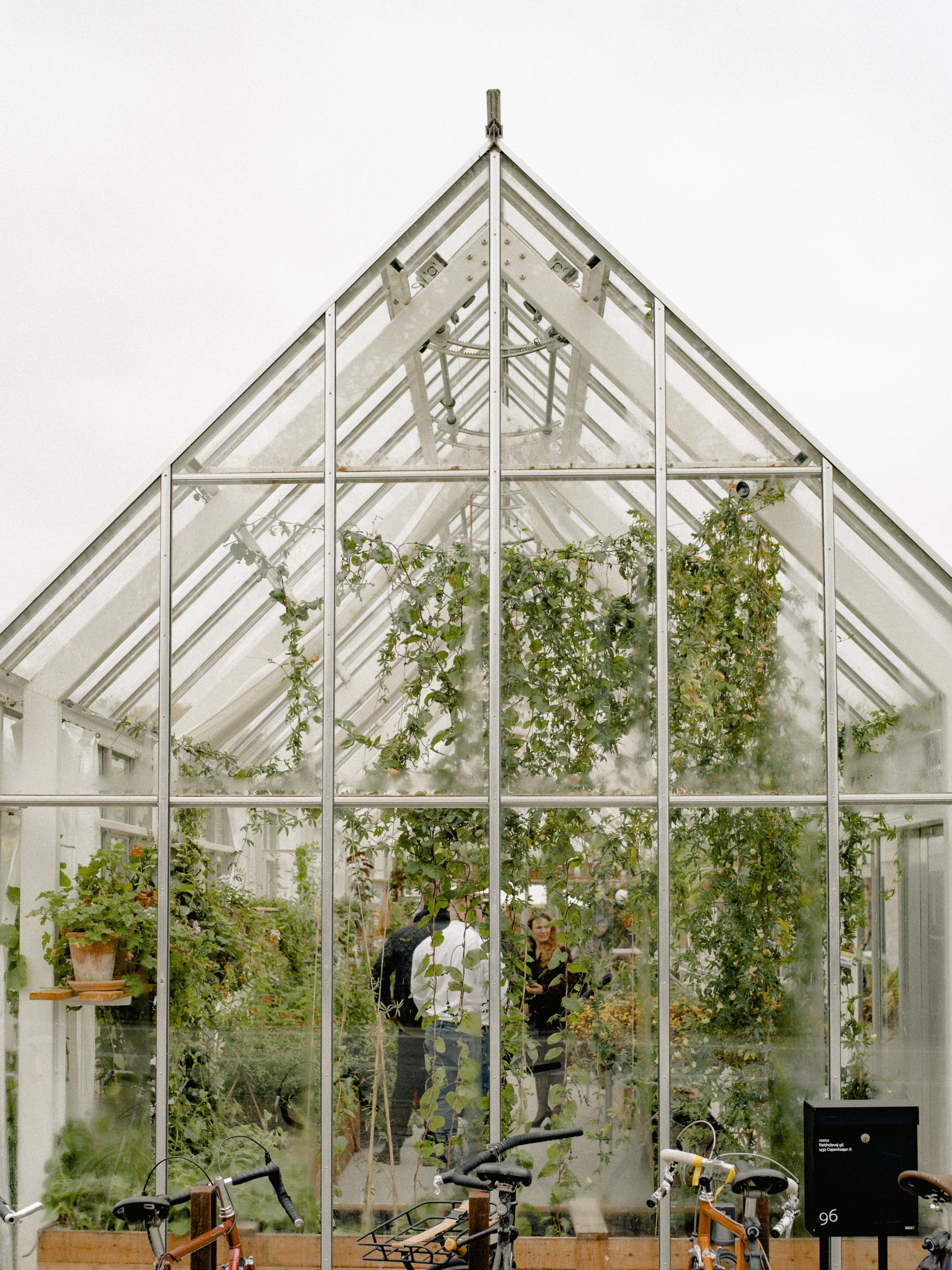 The journey of a Red Stick Farmers Market crop, from greenhouse to