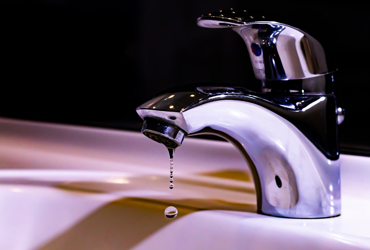 Mushroom situation in the bathroom sink : r/CleaningTips