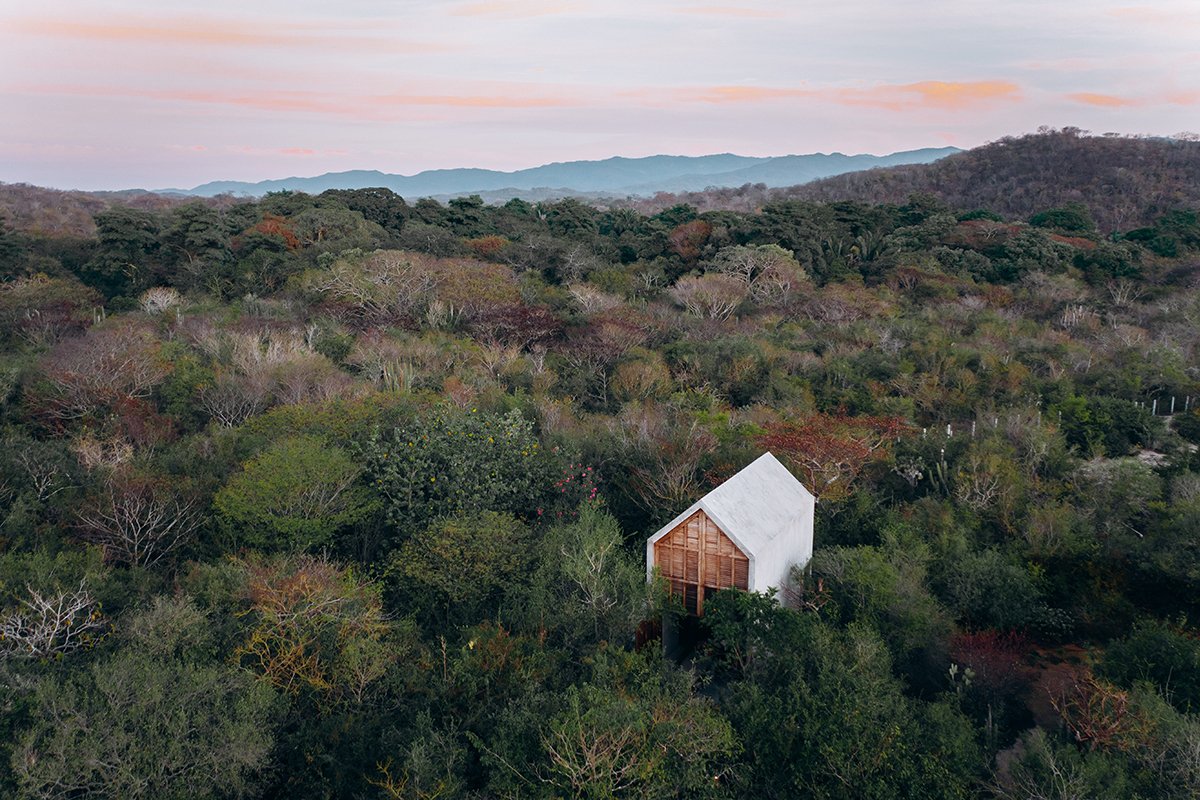 How to Design a House Surrounded by a Forest?