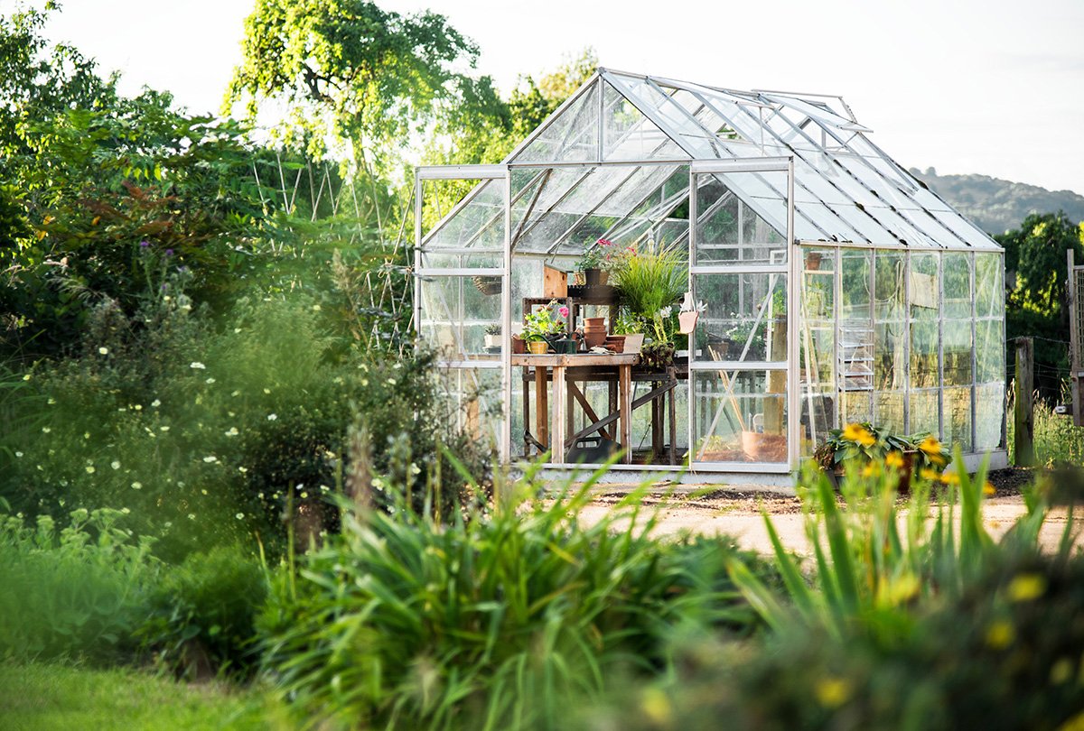 Buy Greenhouse Supplies After Knowing What You Want to Grow