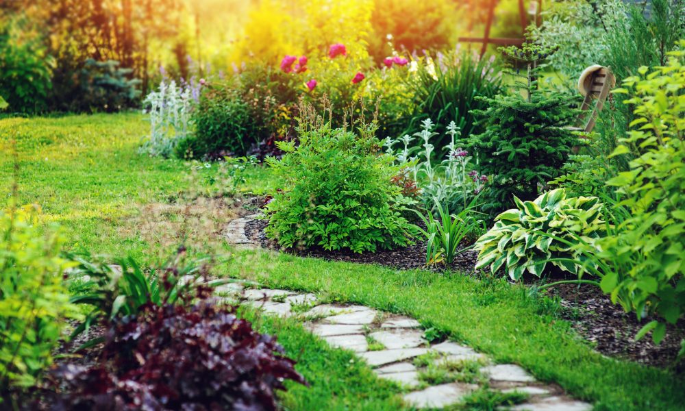 4 tips for creating a cottage garden 1