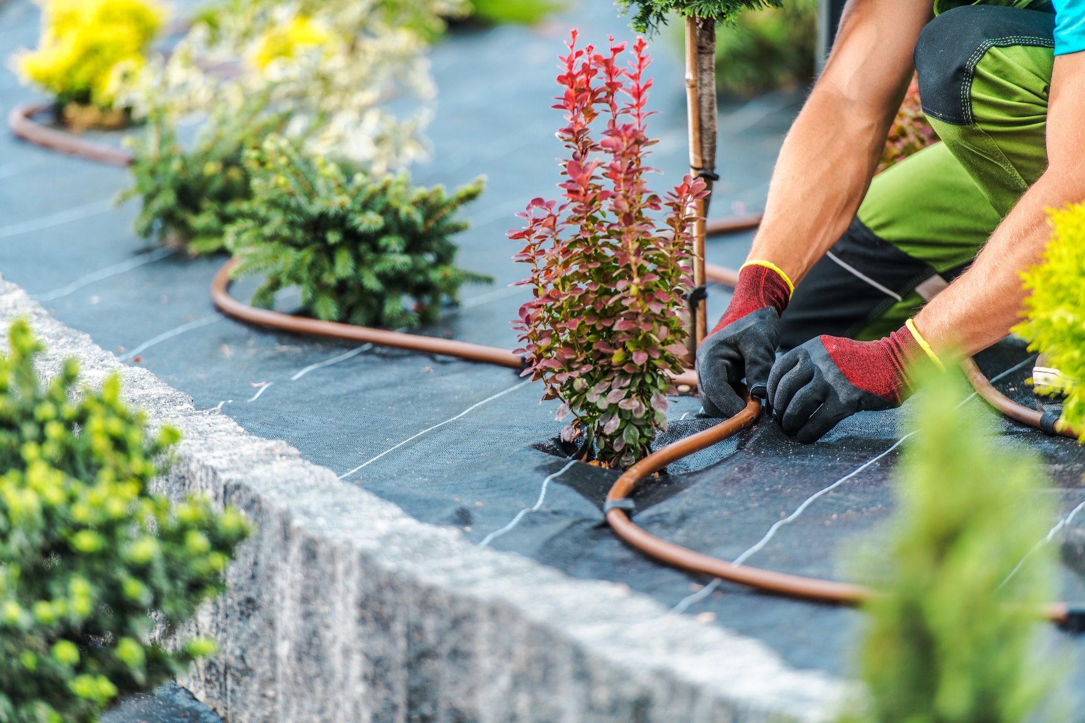 How to sharpen your tools  Organic Gardener Magazine Australia