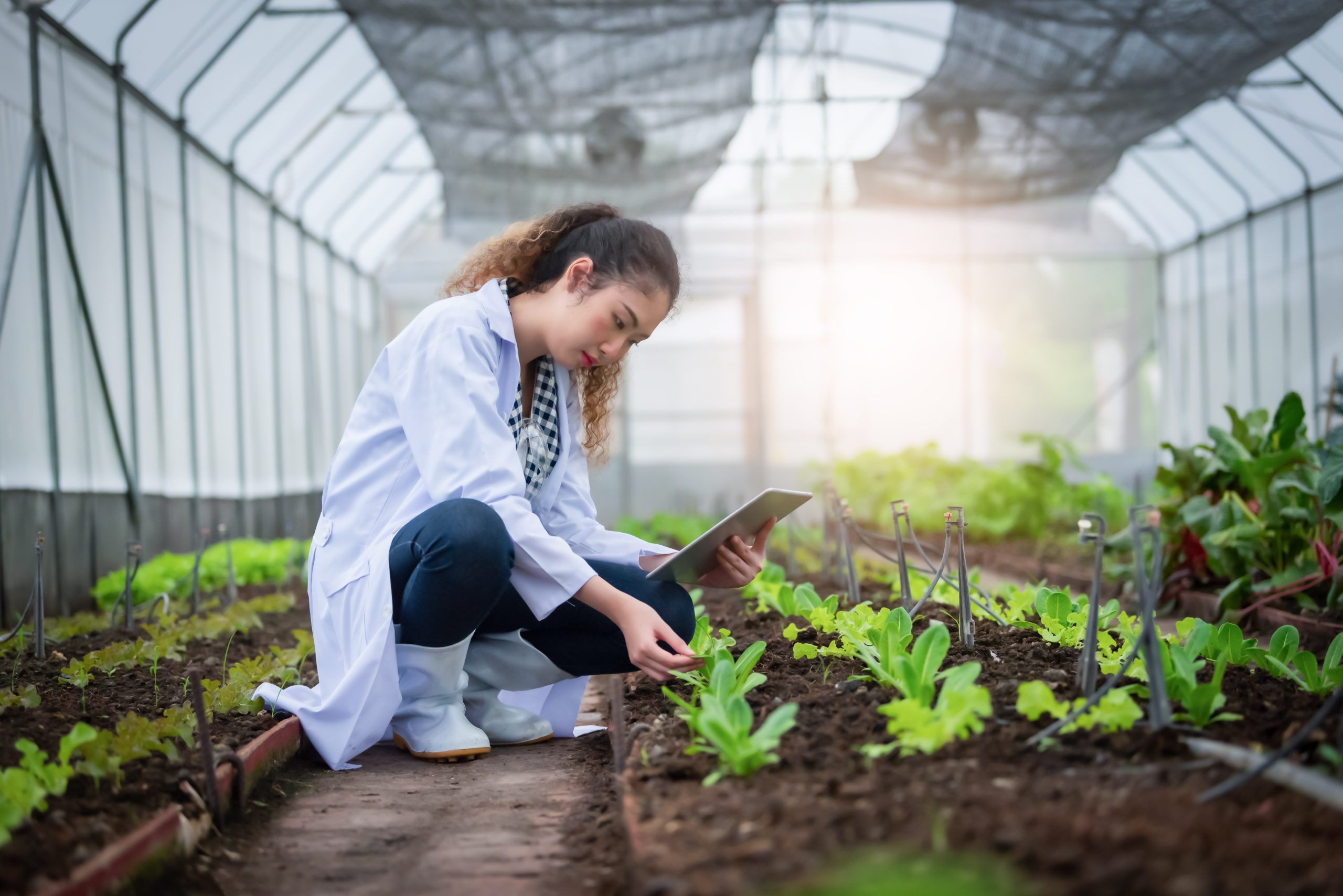 How Greenhouse Growers Can Plan for Delays in the Supply Chain - Greenhouse  Grower