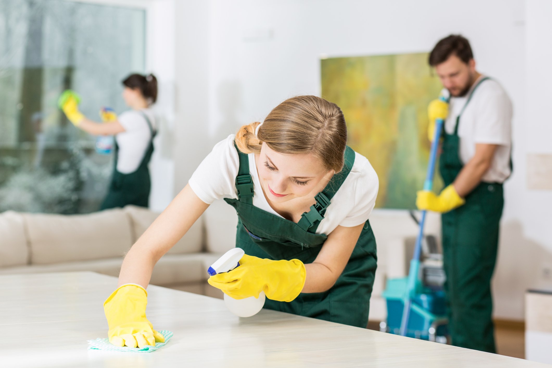 How Professional Housekeeping Services Transform Your Space - Garden &  Greenhouse