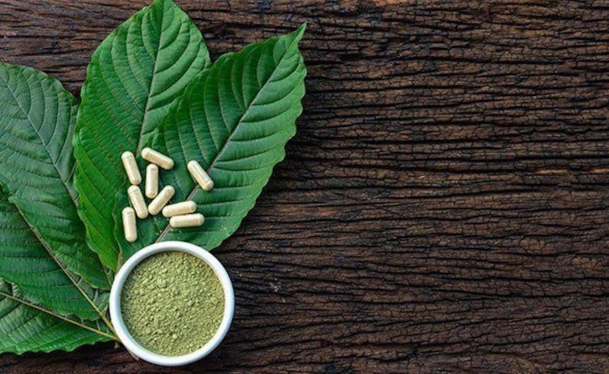 What is the difference between kratom powder and extract? 142