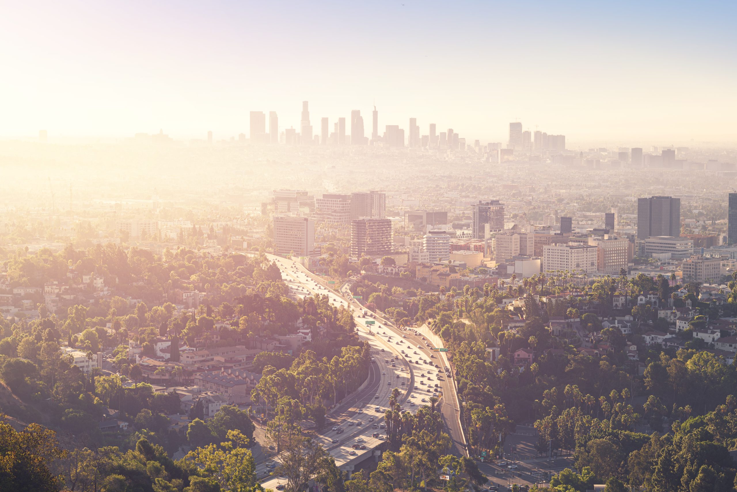 Same day movers los angeles: savvy hacks for last-minute moves 76