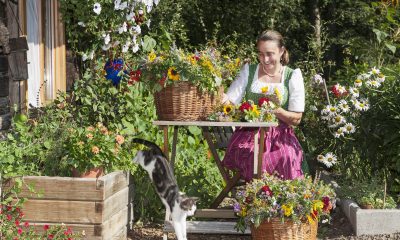 How to stop cats from pooping in the garden? 61