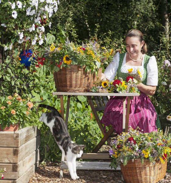 How to stop cats from pooping in the garden? 59
