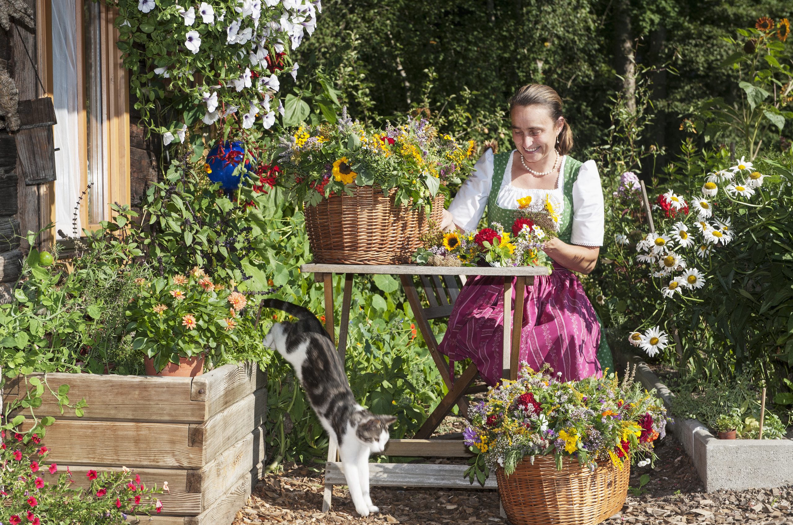 How to stop cats from pooping in the garden? 58