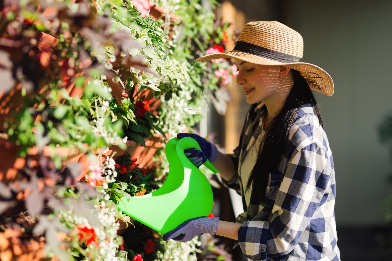 The hidden dangers of overwatering: why excess moisture attracts garden pests 9