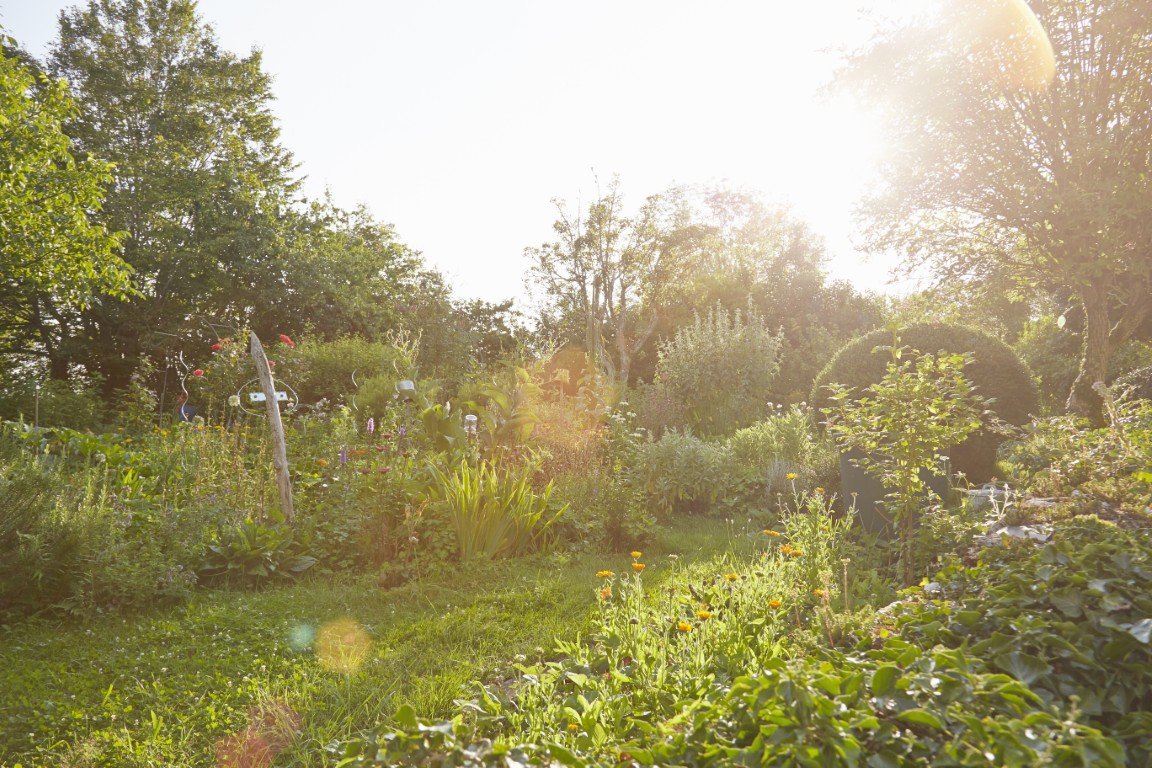 How to protect your garden and greenhouse from extreme summer heat: the complete 2026 survival guide 24